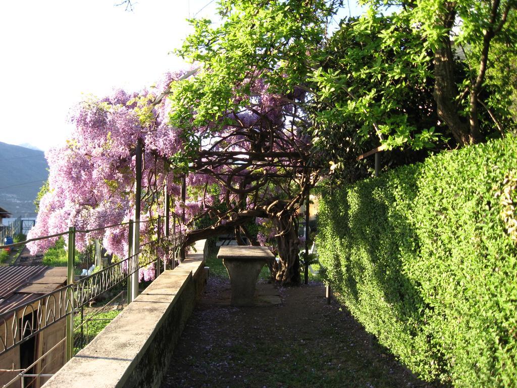 Casa Gibiseo Apartment Белано Екстериор снимка